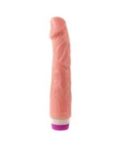 Multi speed vibrating dildo